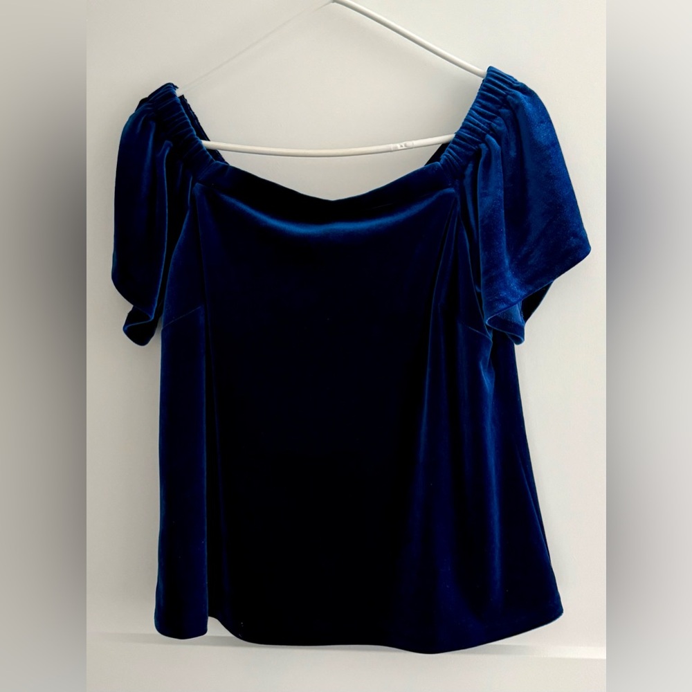 White House Black Market Deep Blue Velvet Blouse